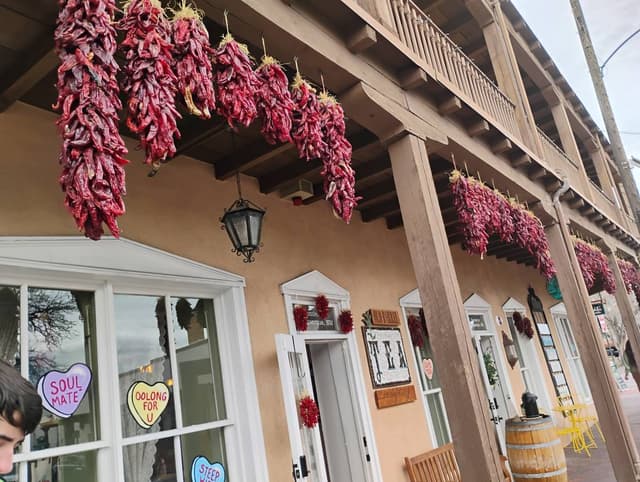 Photo 7 by Martina S. (2/18/26)