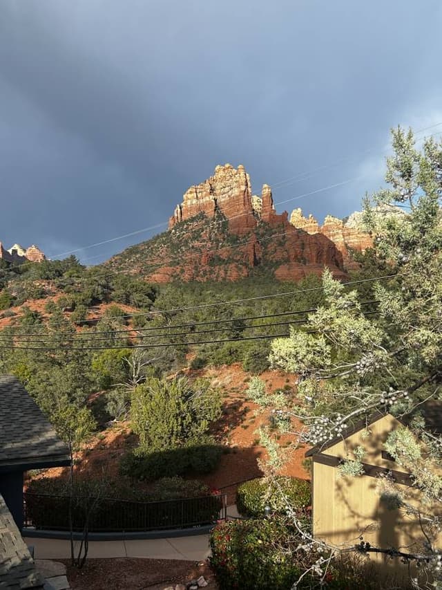 Photo 1 by sasha S. (4/15/24)