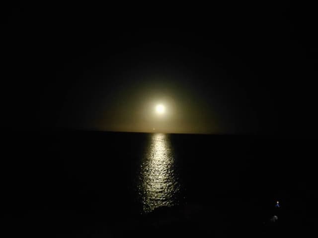 Photo 3 par Christian M. (18/03/25)