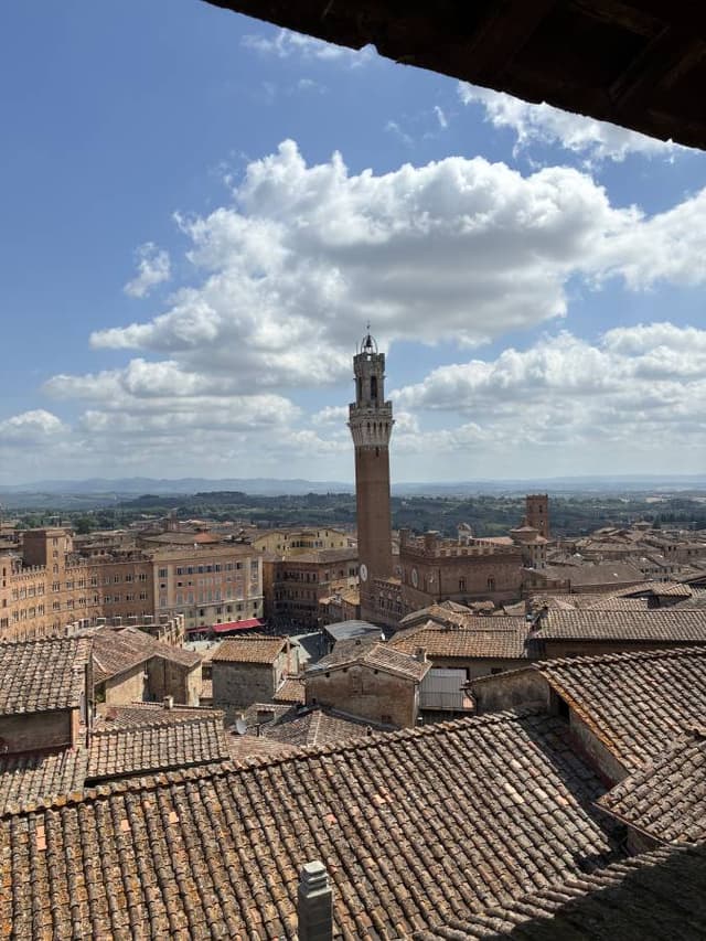 Daniel H. 4. számú fényképe (25. 07. 27.)