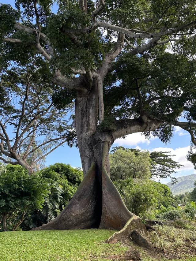 Photo 6 by Julie T. about renting a Dacia Duster in Guadeloupe (11/20/23)