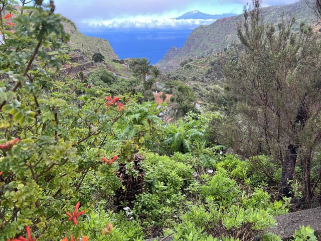 Billede 1 af Jesper L. (3.2.26)