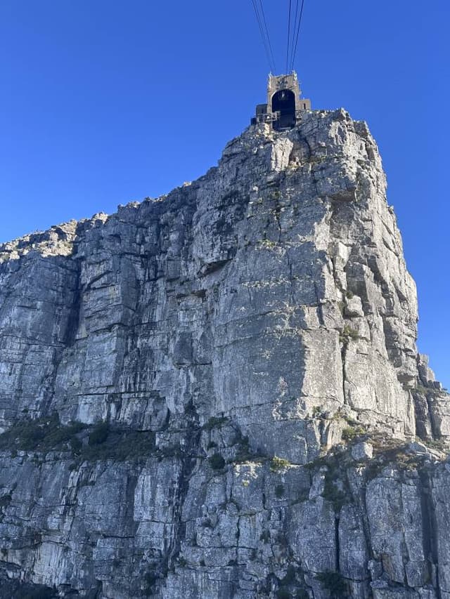 Photo 1 by Michael R. (3/28/26)