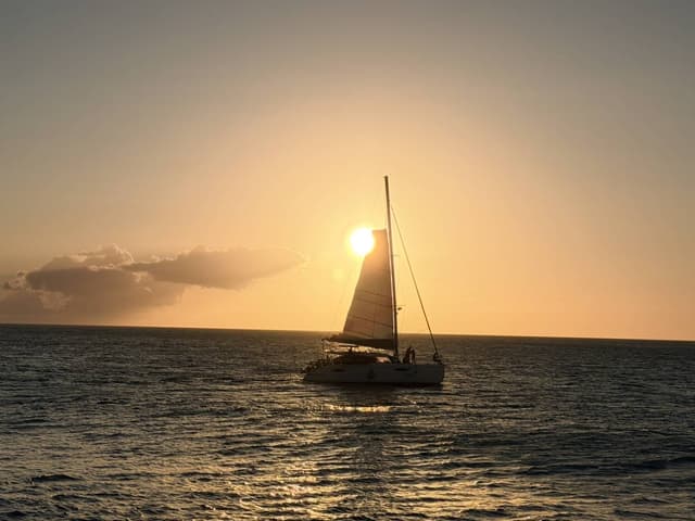Photo 1 by Diana S. (4/6/26)