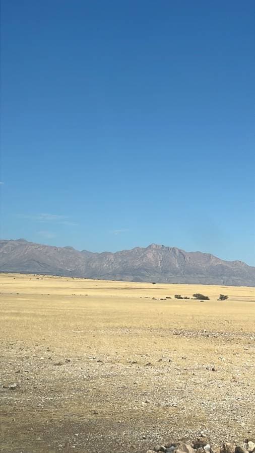 Foto di Patrizia B. (18/12/25)