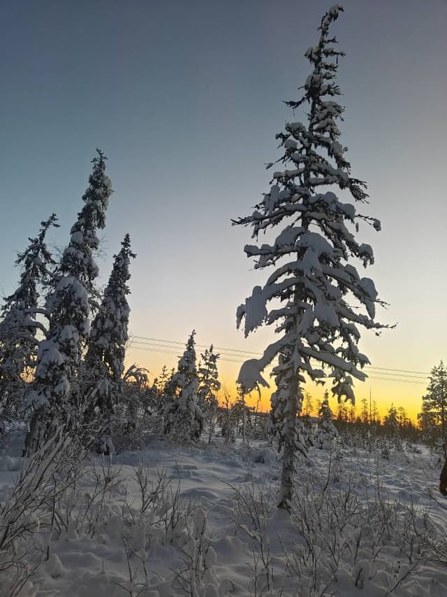 Foto 2 di Andrea P. (17/12/25)