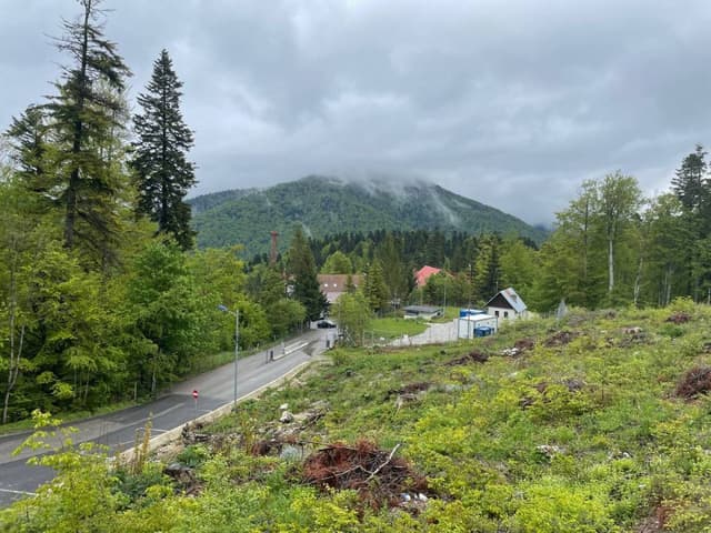 Фото 3 от Yevhenii Y. об аренде BMW 3 Series в аэропорту Бухареста (10.05.24)