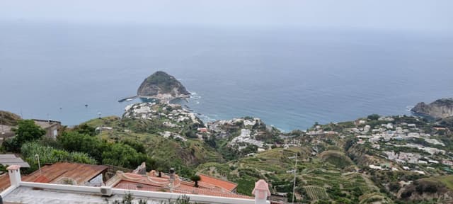 Foto 4 di Pietro M. (13/06/24)