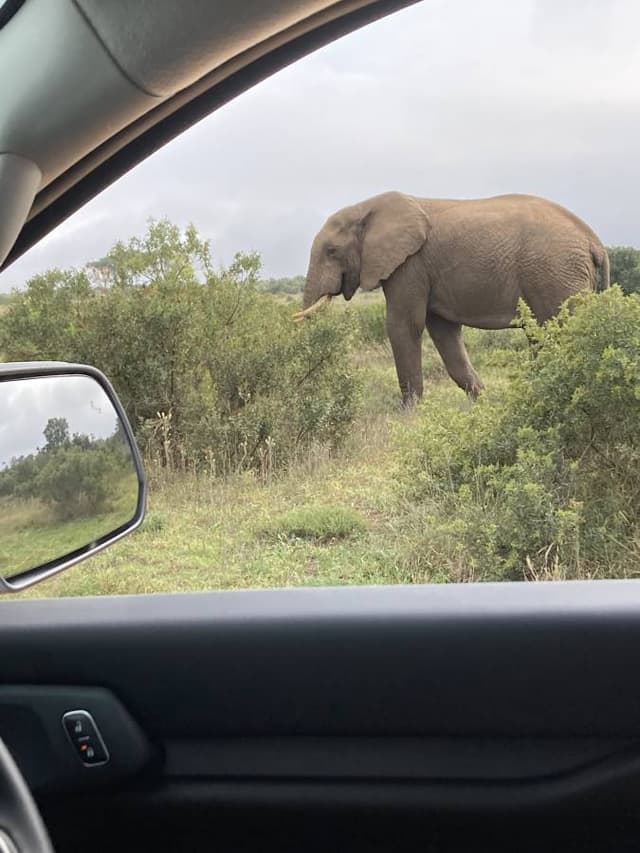 Photo 2 by Janette E. about hiring a Toyota Hilux in South Africa (28.05.24)