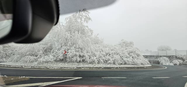 תמונה 6 מאת Ilya G. (5.1.25)