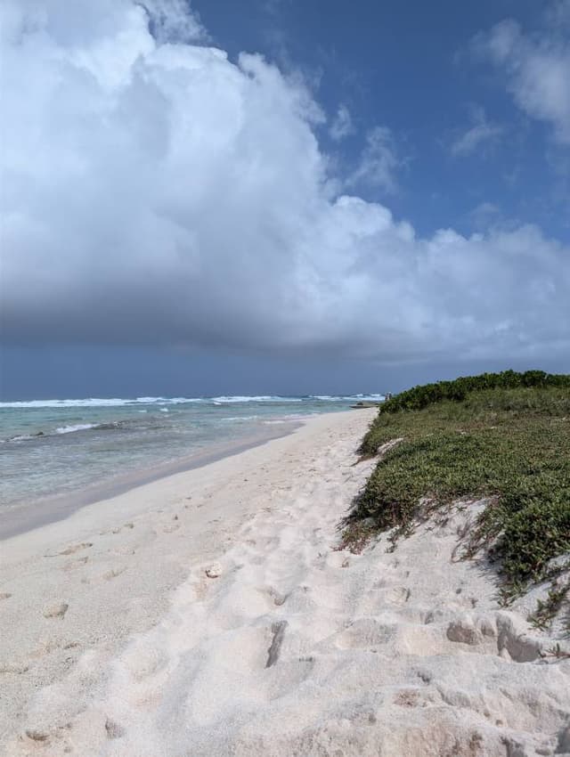 Photo 4 by Michele G. (1/24/26)