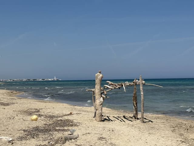 Photo 2 by Luka Z. (4/30/26)