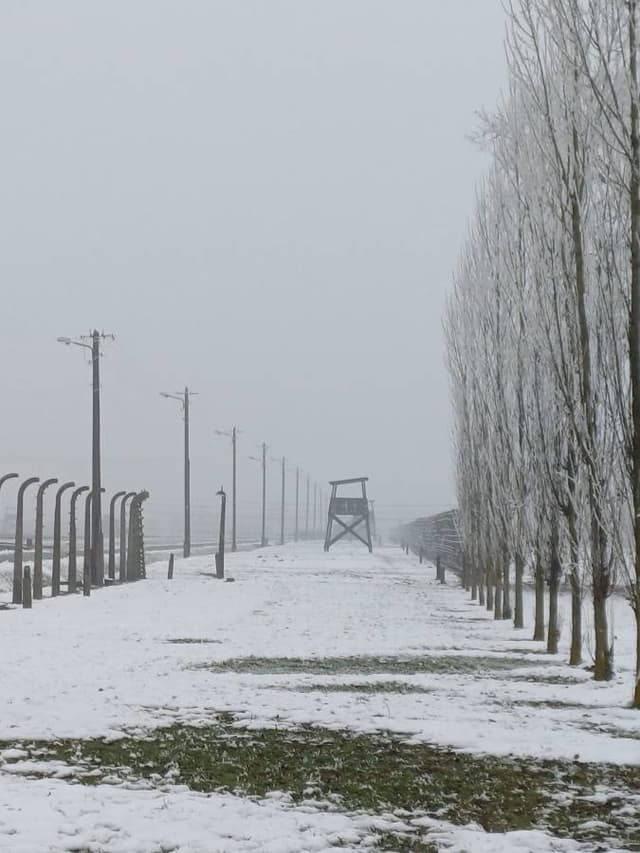 Photo 3 by John O. (12/7/25)