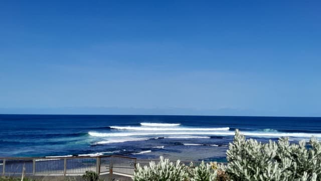 Photo by Susan A. (10/10/24)