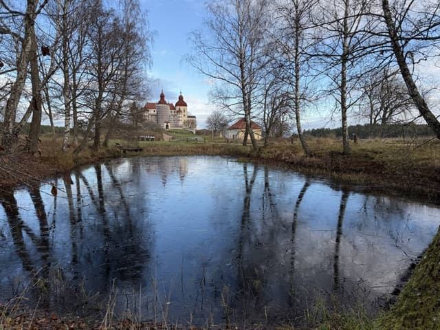 Foto 7 di Arthur M. (02/12/25)