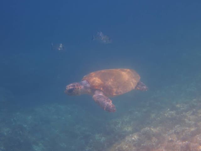 Photo 1 by George T. about hiring a Hyundai i30 in Kefalonia (16.06.25)