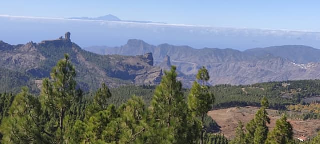 Foto 13 de Jose Manuel P. (20/11/25)