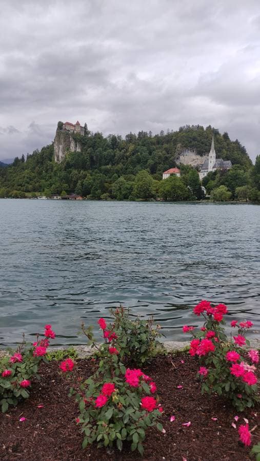 Foto 3 de Maria del Rosario M. (26/8/25)