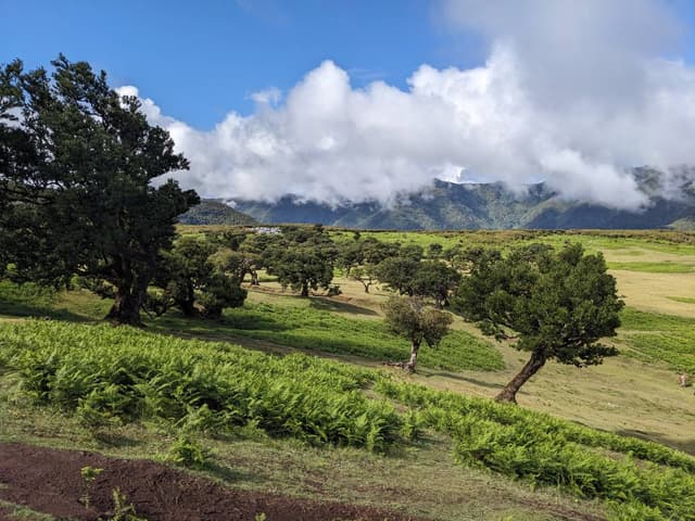 Photo 1 by Srdjan J. about renting a Skoda Fabia in Madeira (6/9/24)
