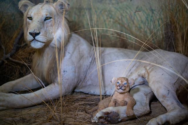 Photo 2 by Moritz S. (4/15/26)