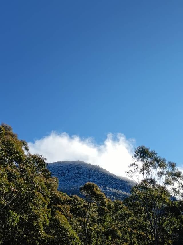 Photo by Brett R. about renting a Kia Cerato in Hobart (7/5/24)