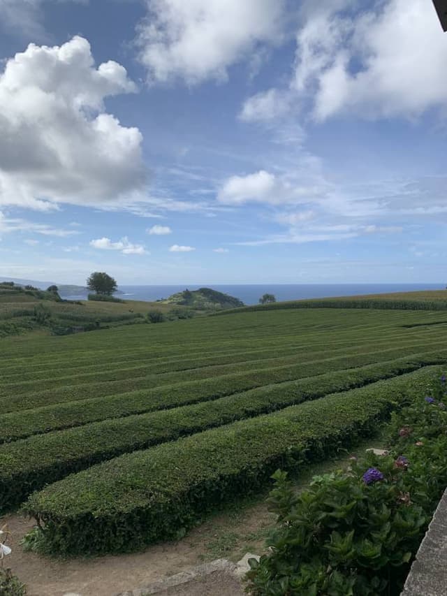 Photo 5 par Nathalie L. sur la location d'un Opel Corsa Hatchback au Portugal - aux îles des Açores (26/09/23)