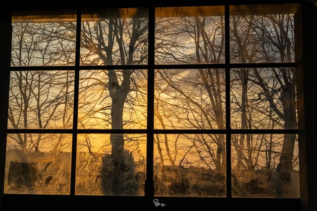 Photo 3 by Moritz S. (4/15/26)