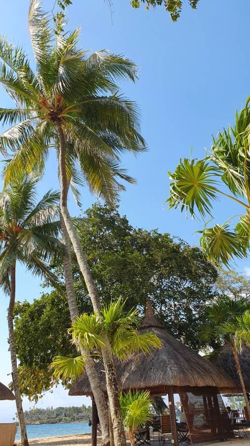 Photo 2 by Jasim H. about hiring a Toyota Aqua in Mauritius (02/11/24)