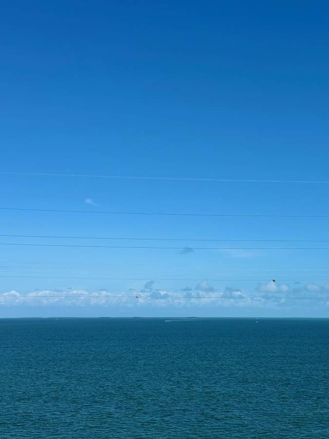 Foto 6 de Fabian B. (14/1/26)