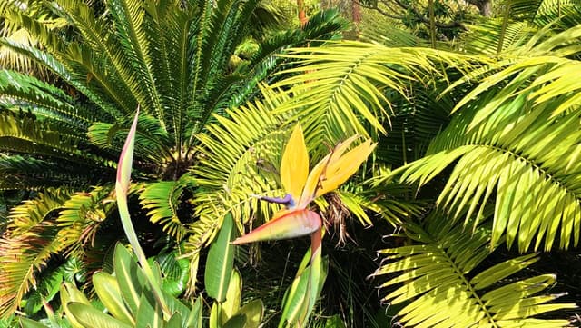 Photo 1 by Alain B. about hiring a Mazda Demio at Christchurch Airport (20/11/25)