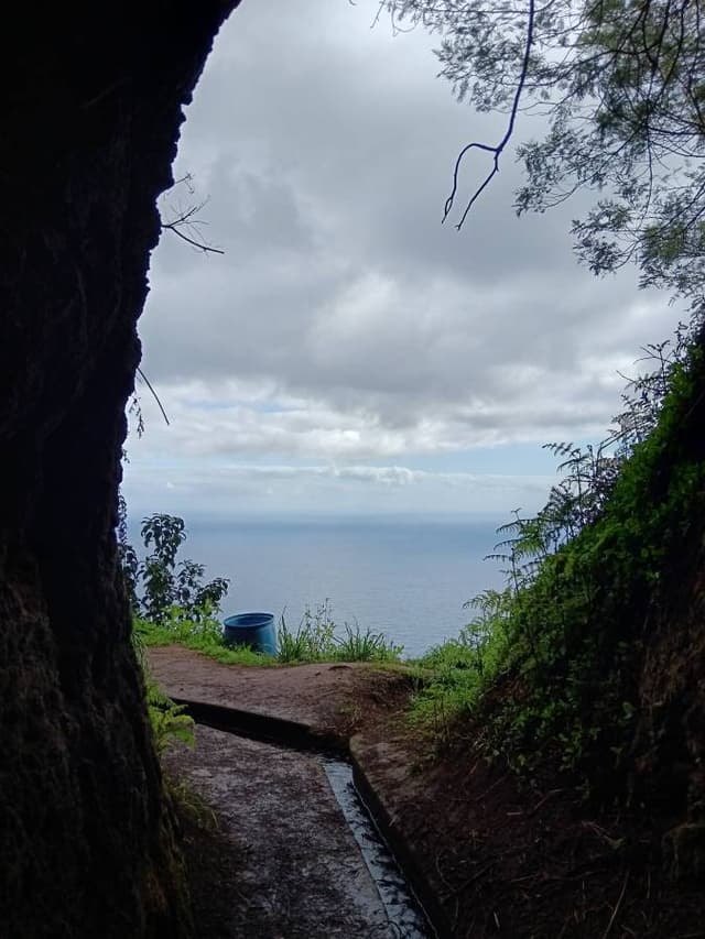 Foto 5 de Maria Fernanda A. (15/03/26)