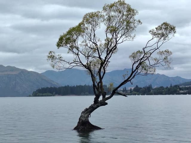 Photo 9 by Wee Heng L. (2/22/26)