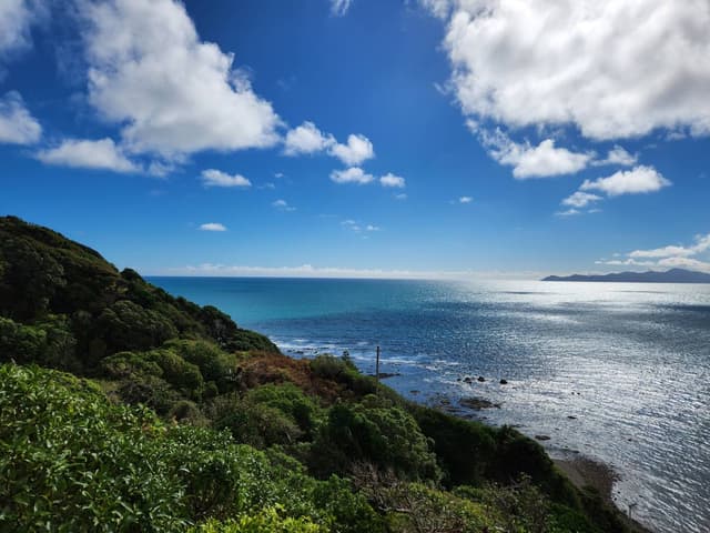 Photo 3 by Kozue K. about renting a Toyota Corolla in Wellington (4/19/24)