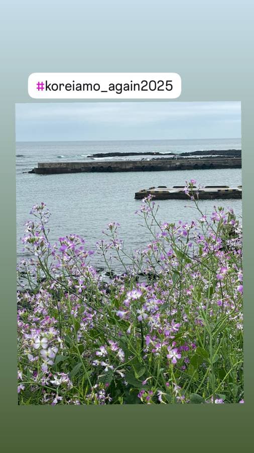 Foto di Marzia P. (24/04/25)