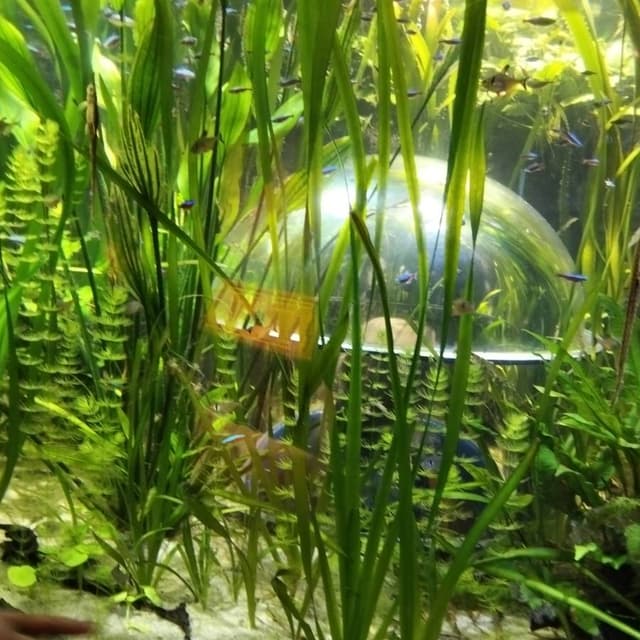 Photo 1 by Maria A. (1/2/26)