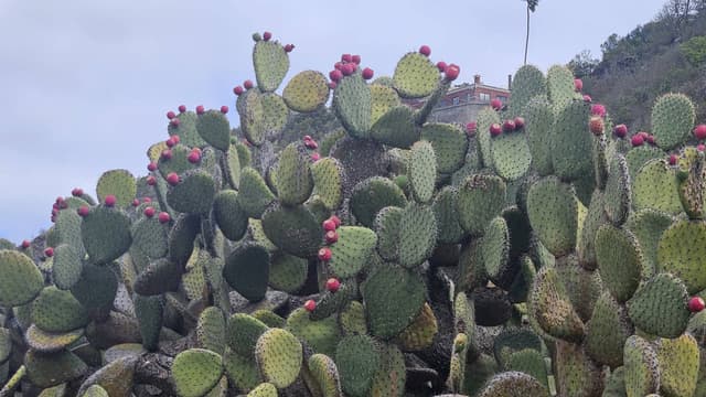 Photo 7 by Ostorhazi L. (11/12/25)