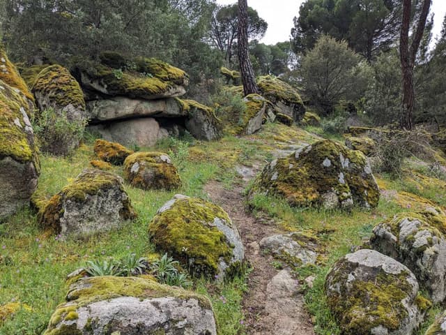 Фото 4 от Alexey A. об аренде Volkswagen Taigo в Мадриде (03.04.24)