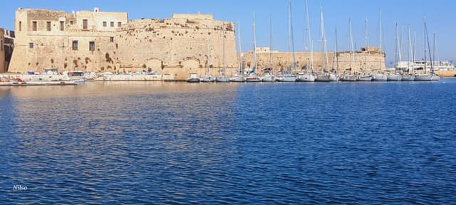 Foto 5 de Nilso D. (01/12/25)