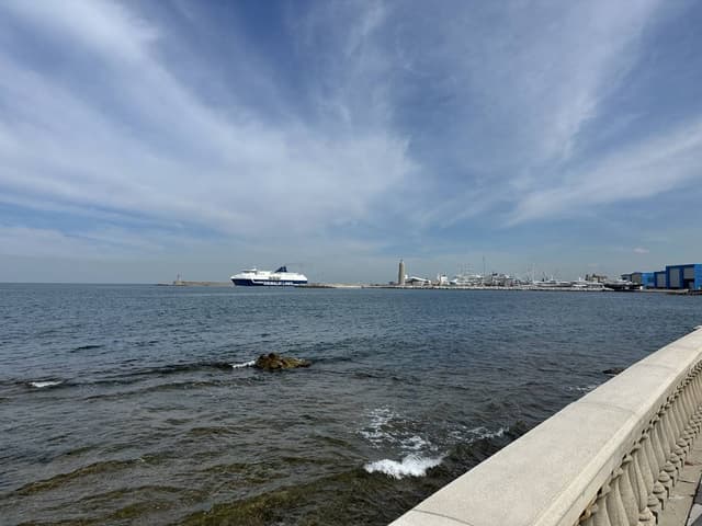 Снимка 5 от Kiril I. (2.06.25 г.)