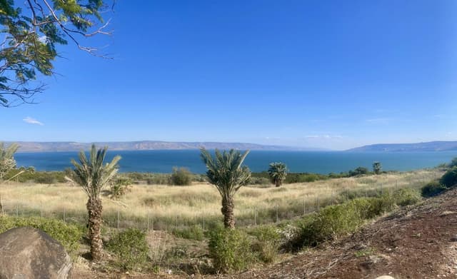 Photo 3 by Amaris M. about renting a Suzuki Alto in Israel (4/16/25)