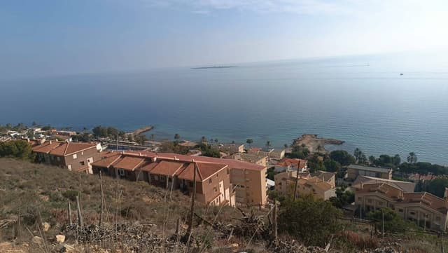 Zdjęcie 12 wykonane przez Tomasz Z. (12.12.25)