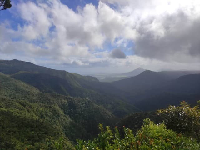 Photo 5 by Marius K. (7/7/25)