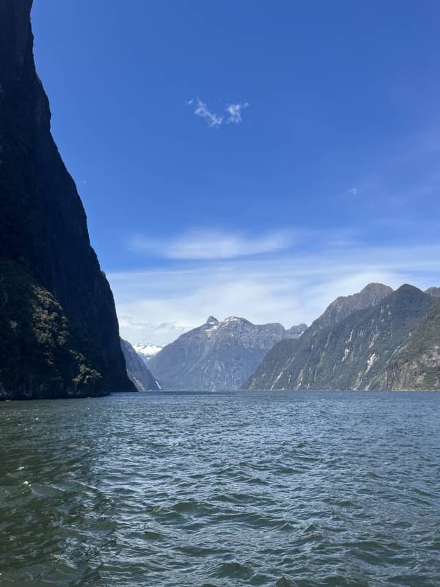 Photo 2 by Kate M. (11/15/25)