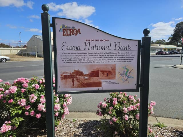 Photo 4 by Toni H. (11/21/25)