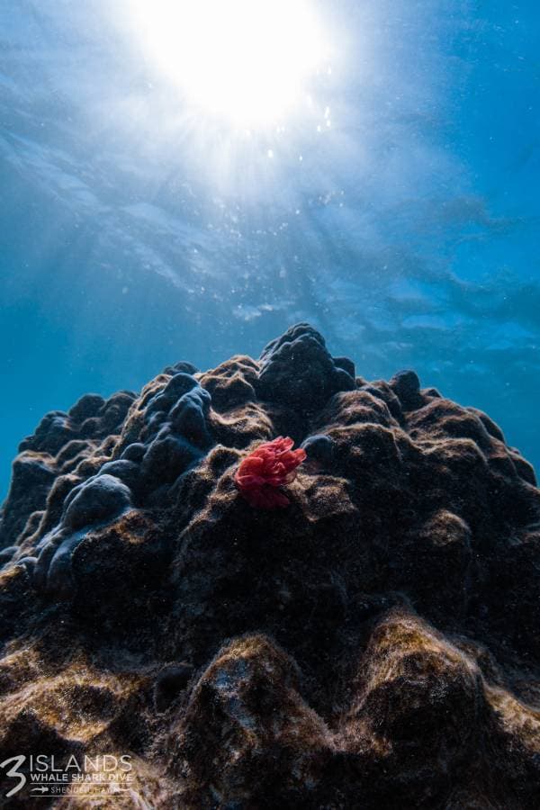 Photo 2 by Talya M. (5/5/23)