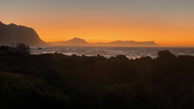 Photo 5 by Victor E. (4/21/25)