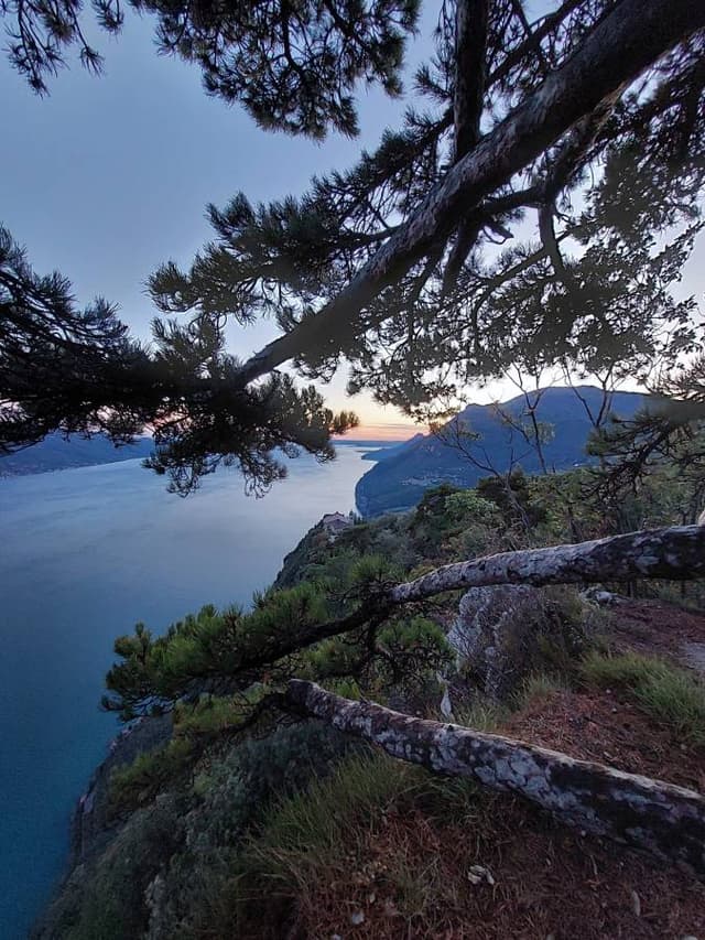 Henkilön Ari A. kuva 2 (5.11.23)