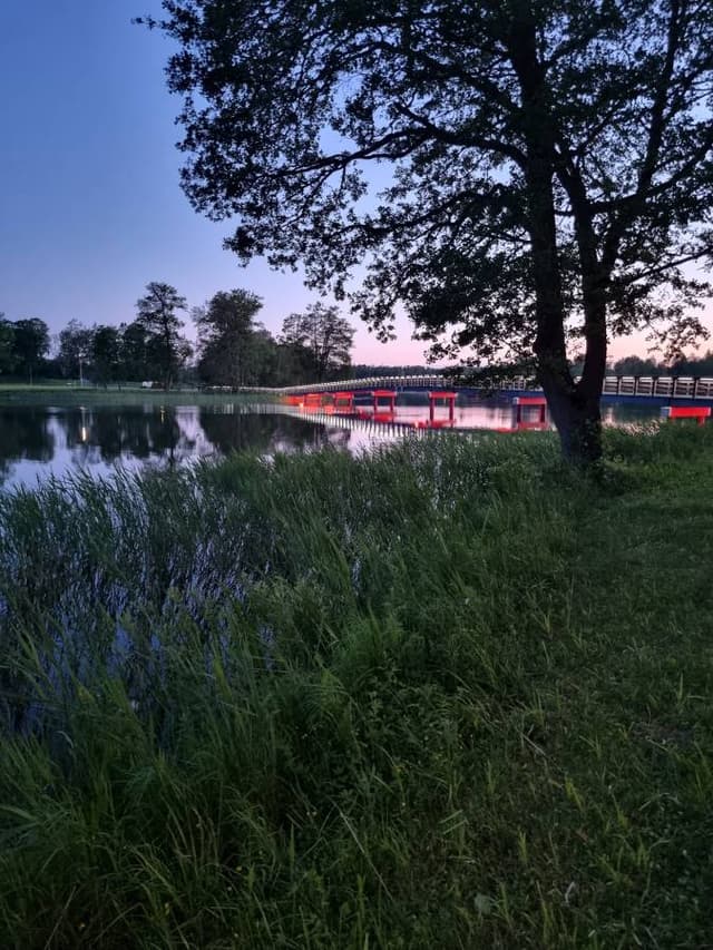 Photo 3 by Arturs S. about renting a Volkswagen Golf in Latvia (6/9/24)