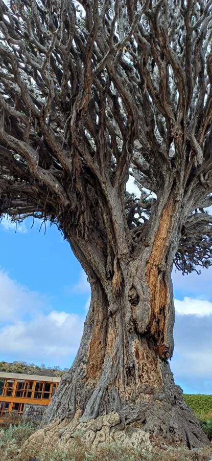Foto 4 von Tiku Hanne Maria A. (26.10.25)