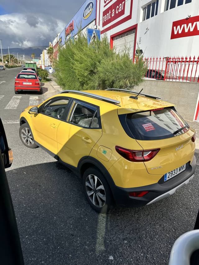 Billede af Adam Damgaard E. (28.12.25)